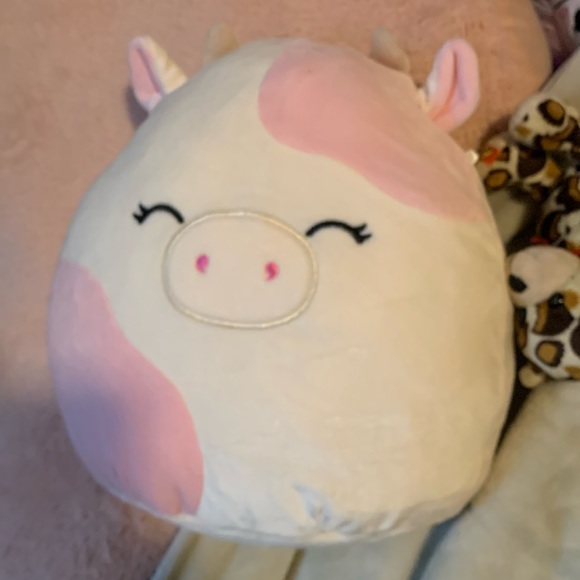 Caedyn the cow light pink squishmallow 10inch NWT - Picture 1 of 6